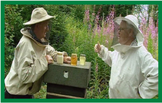 Beechgrove Bees 1